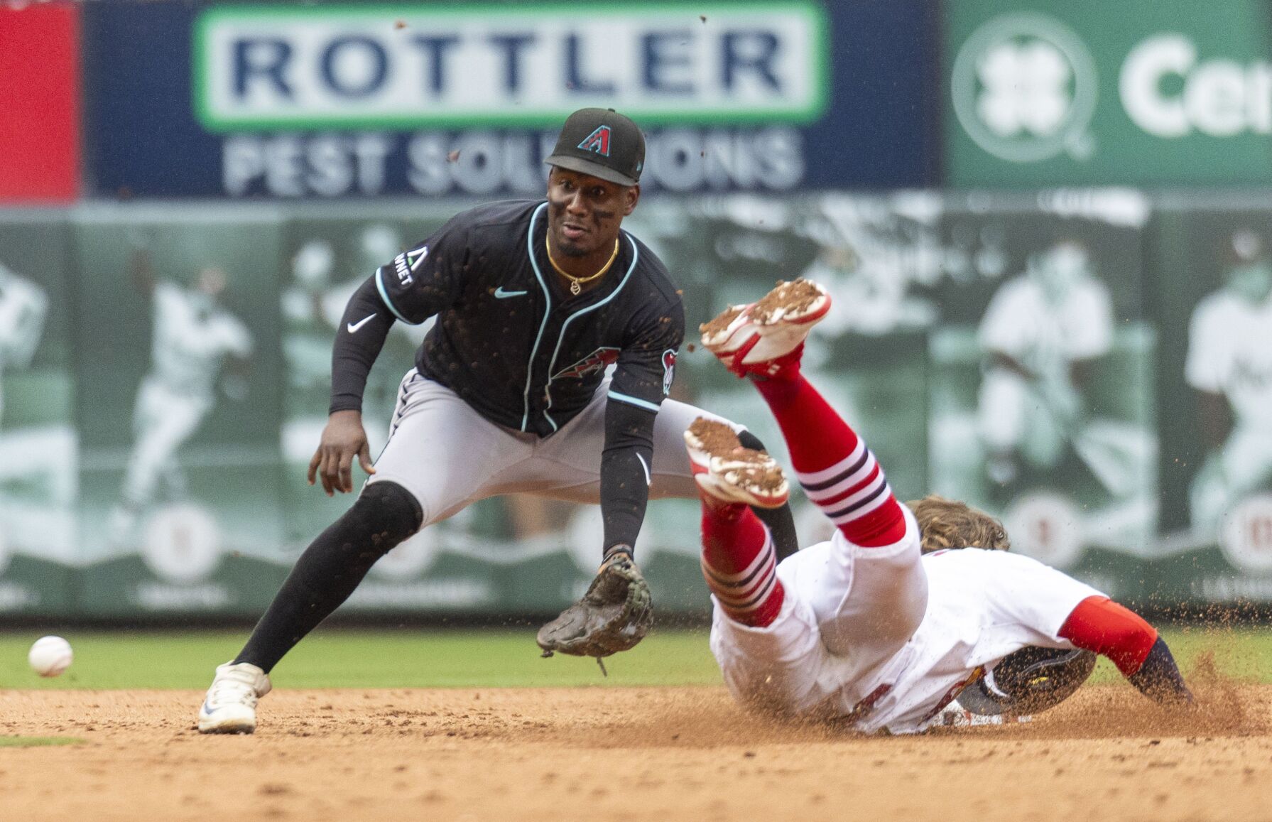 51黑料 Cardinals host Arizona Diamondbacks